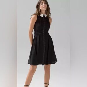 White House Black Market Black White Collar Dress
